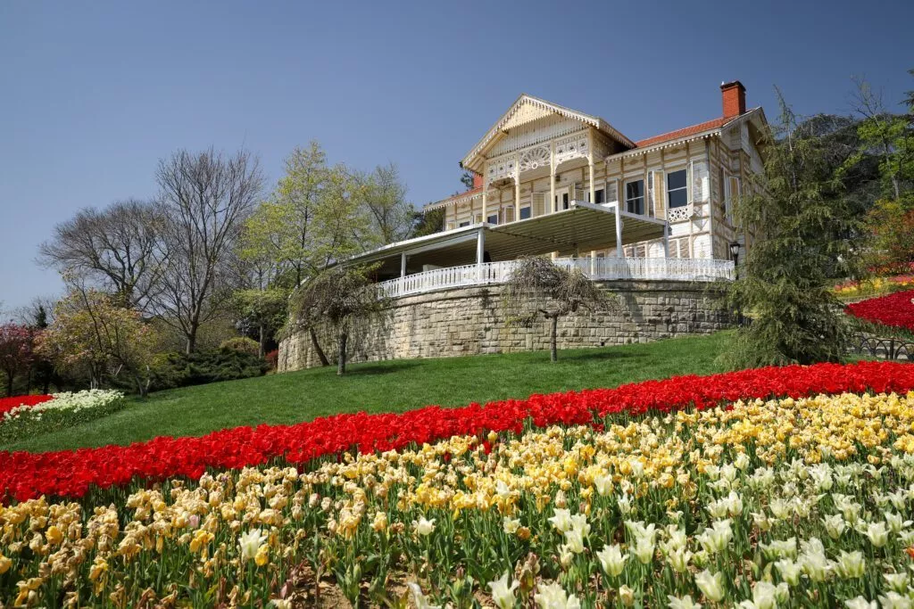 beautiful home with very healthy landscaping, red and yellow roses